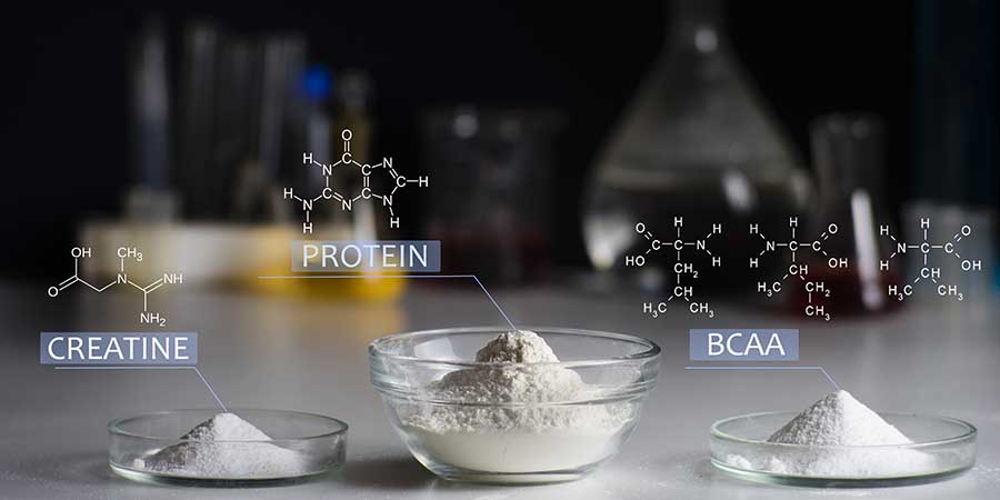 chemical formulas of creatine and protein